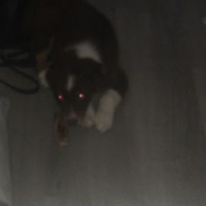 Meet your Posher, Aiden